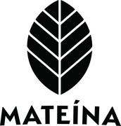 Mateina